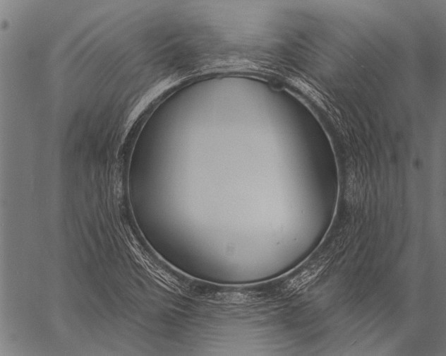 X0000057091458200509301538