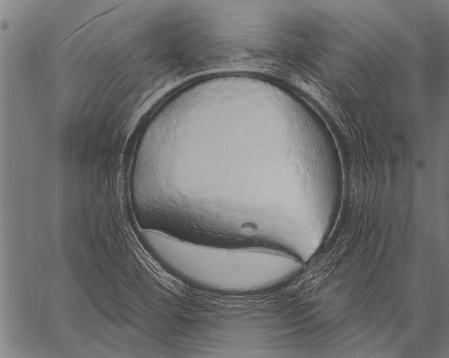 X0000057091460200509301538