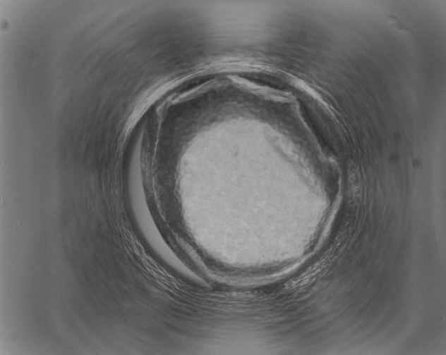 X0000057091461200509301538