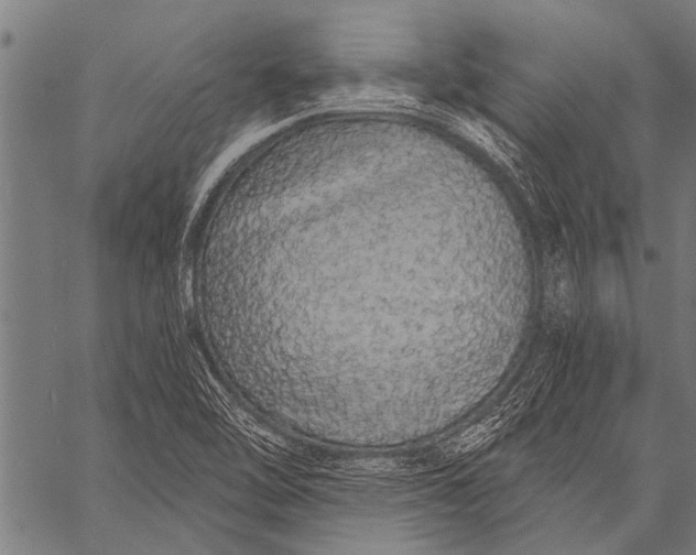 X0000057091462200509301538