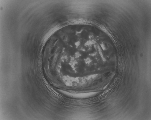 X0000057091463200509301538