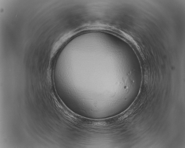 X0000057091464200509301538