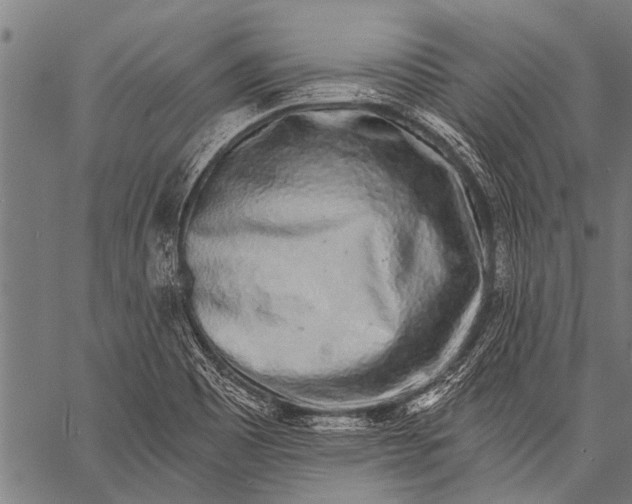 X0000057091465200509301538