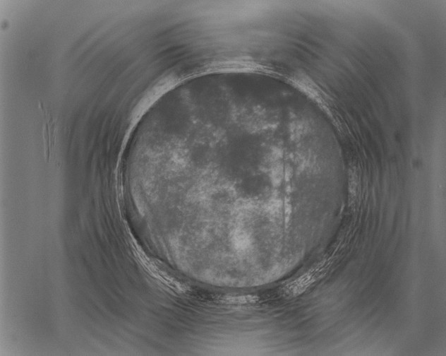 X0000057091466200509301538