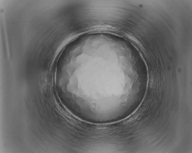 X0000057091467200509301538