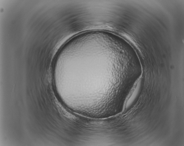 X0000057091468200509301538