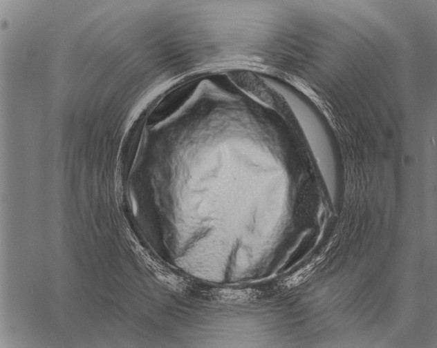 X0000057091469200509301538