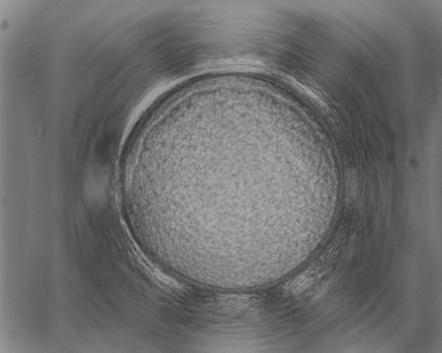 X0000057091470200509301538