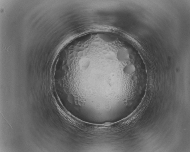 X0000057091471200509301538