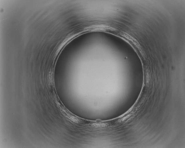 X0000057091473200509301538