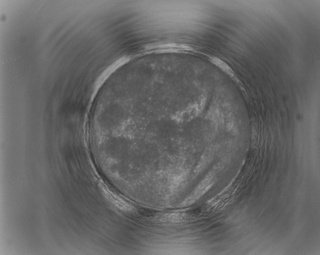 X0000057091474200509301538