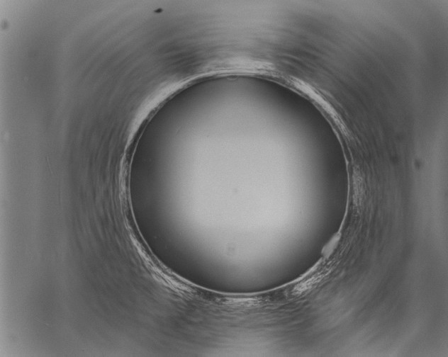 X0000057091477200509301538