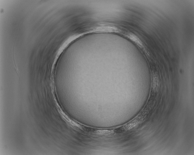 X0000057091478200509301538