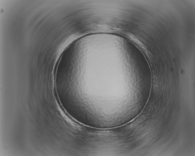 X0000057091479200509301538