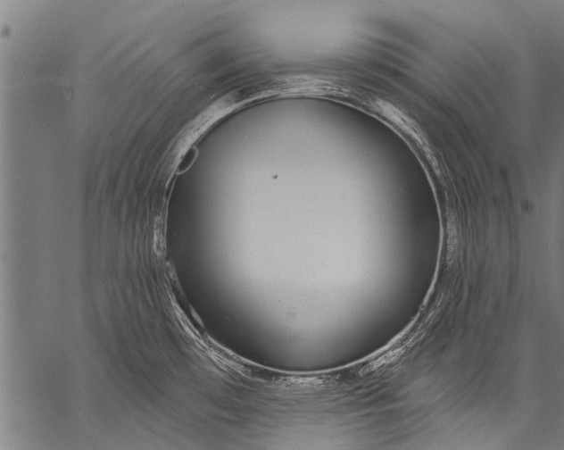 X0000057091481200509301538