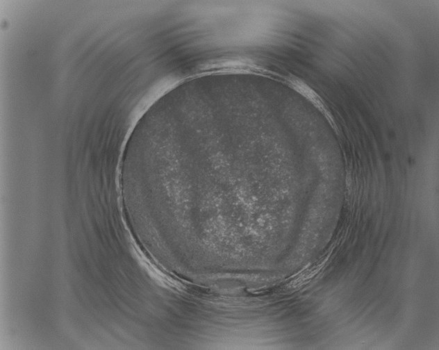 X0000057091482200509301538