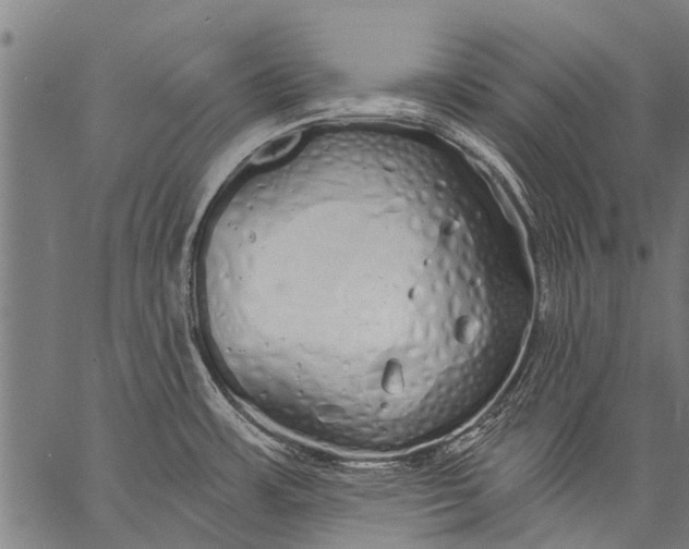 X0000057091483200509301538