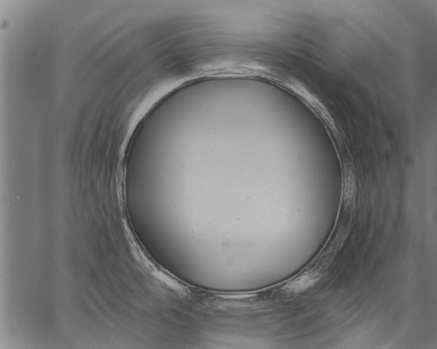 X0000057091486200509301538