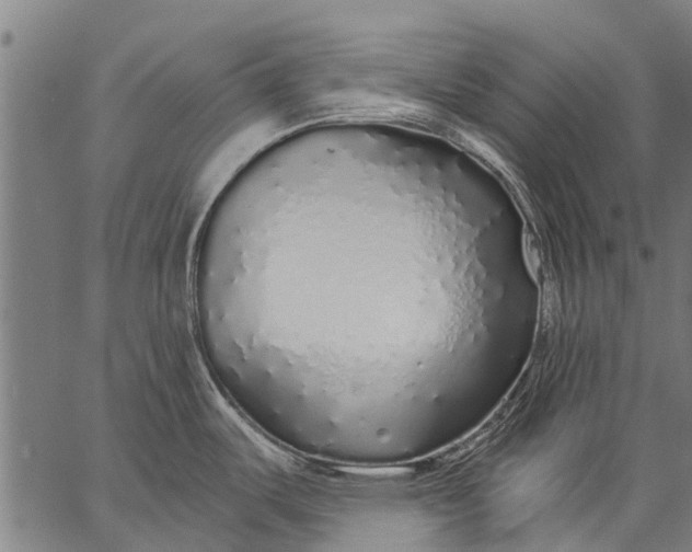 X0000057091487200509301538