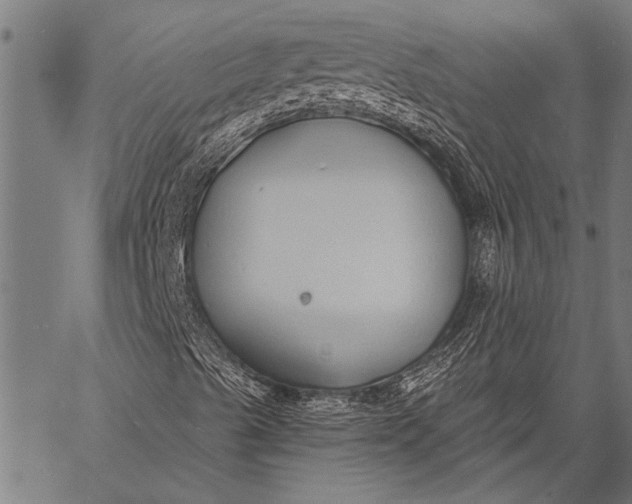 X0000057091489200509301537