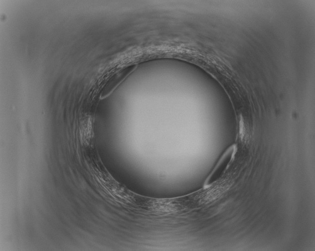 X0000057091492200509301537