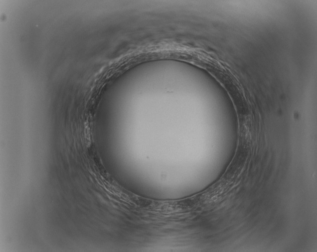 X0000057091493200509301537