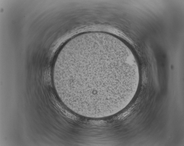 X0000057091498200509301537