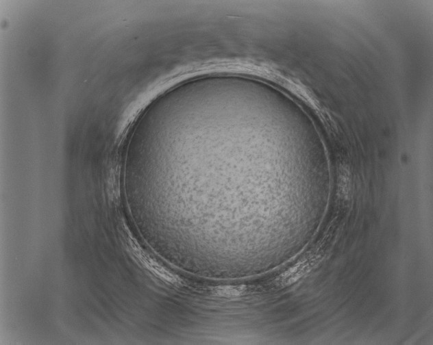 X0000057091504200509301537