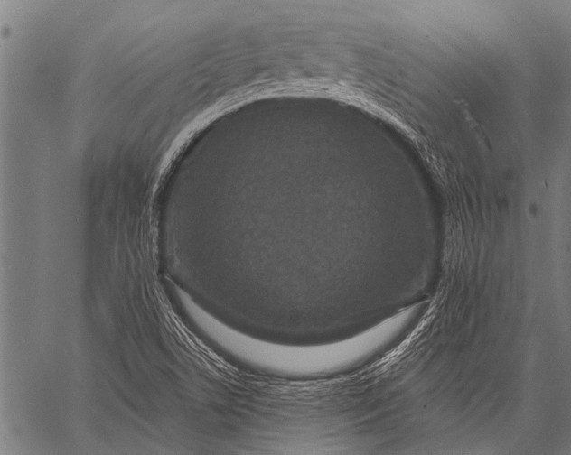 X0000057091506200509301537