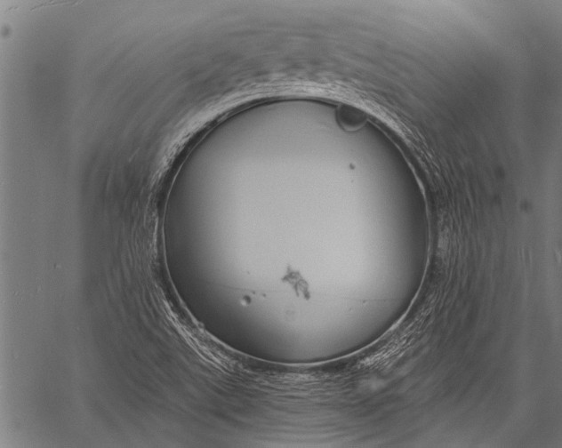 X0000057091507200509301537