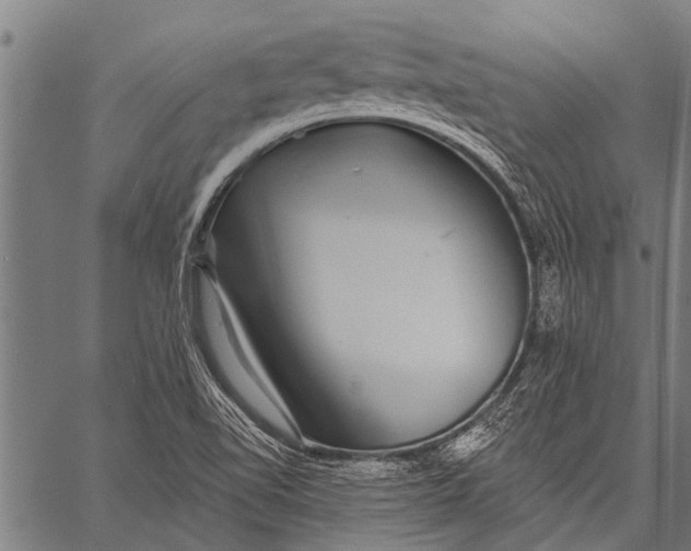 X0000057091510200509301537