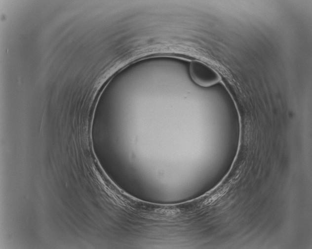 X0000057091513200509301537