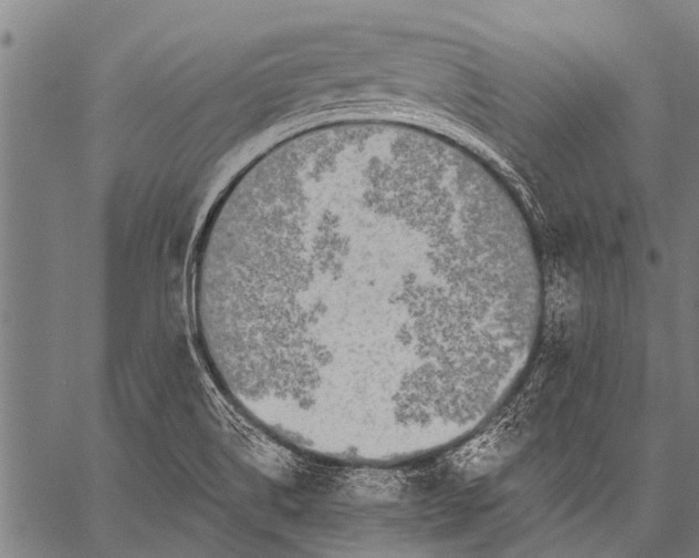 X0000057091514200509301537