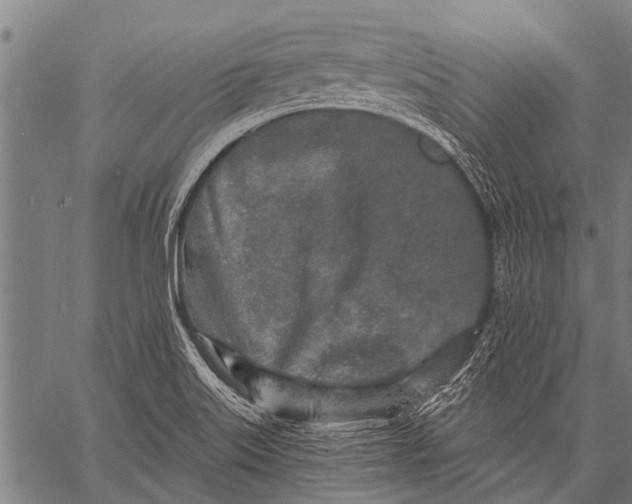 X0000057091515200509301538