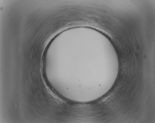 X0000057091518200509301538