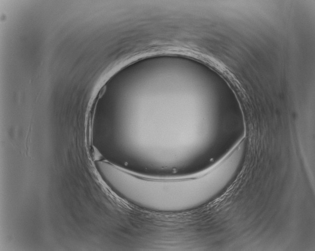 X0000057091520200509301538