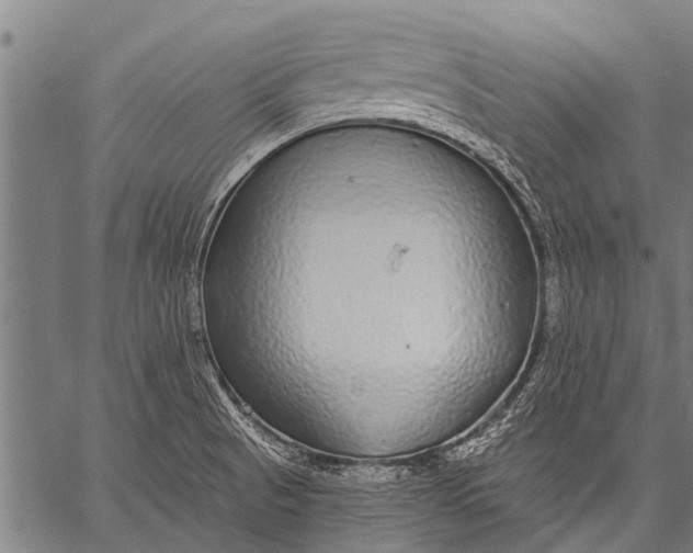 X0000057091521200509301538