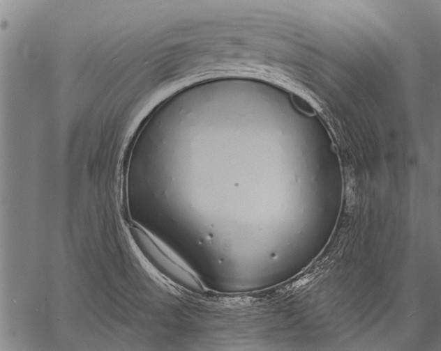 X0000057091523200509301538