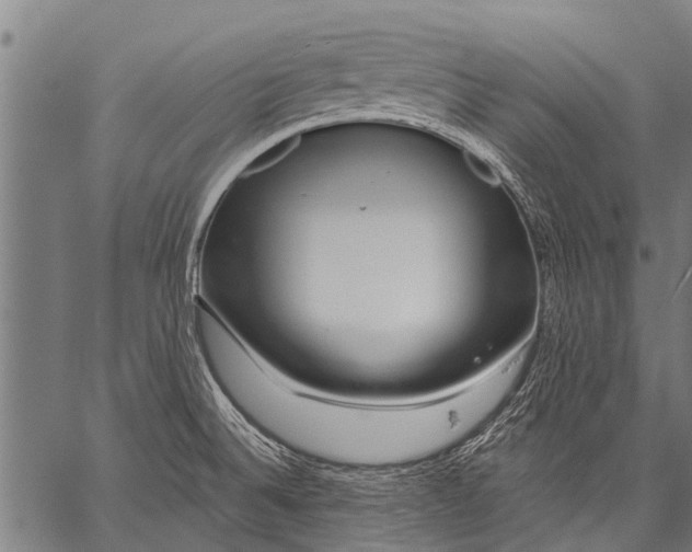 X0000057091524200509301538