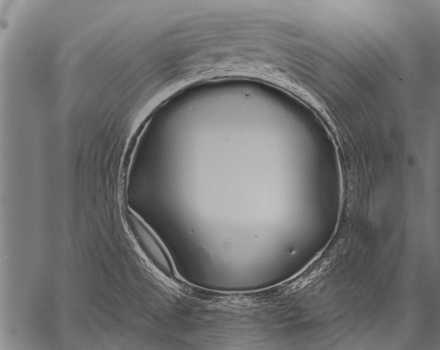 X0000057091525200509301538