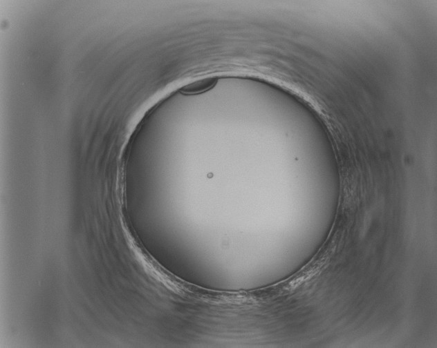 X0000057091526200509301538