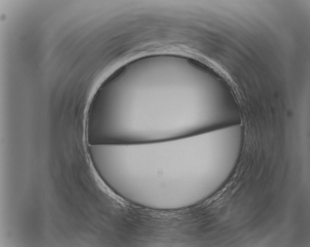 X0000057091528200509301538