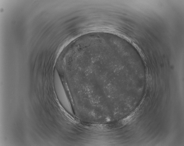 X0000057091529200509301538