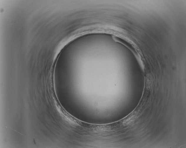 X0000057091530200509301538