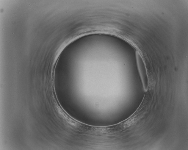 X0000057091532200509301538