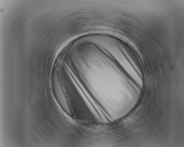 X0000057091533200509301538