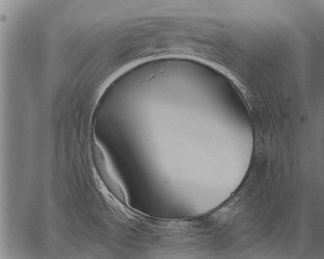 X0000057091534200509301538