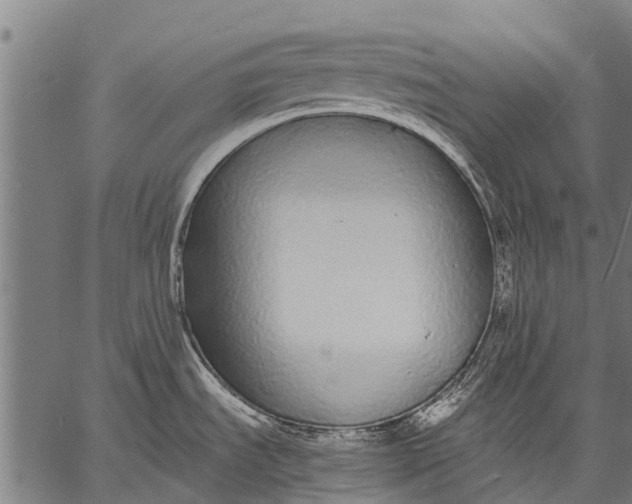 X0000057091535200509301538