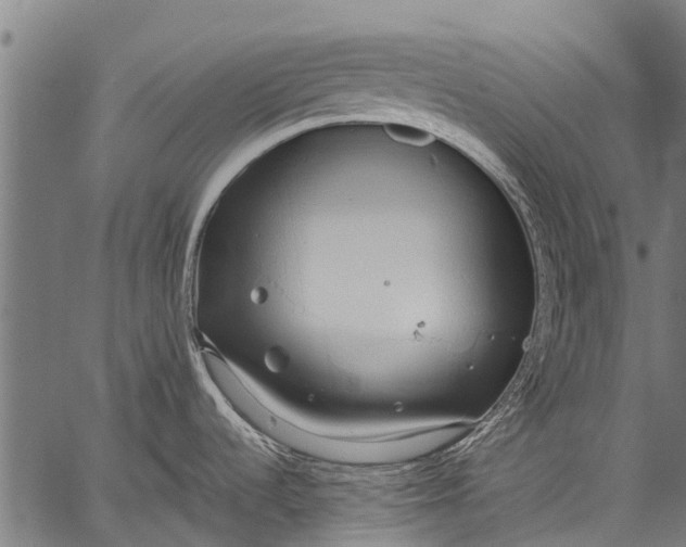 X0000057091536200509301538