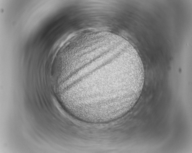 X0000057090002200510071923